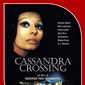 Poster 24 The Cassandra Crossing