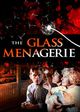 Film - The Glass Menagerie