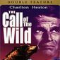 Poster 7 Call of the Wild