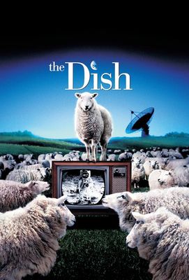 The Dish