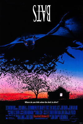 Bats poster