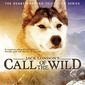 Poster 3 Call of the Wild