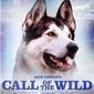 Poster 1 Call of the Wild