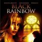 Poster 3 Black Rainbow