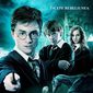 Poster 3 Harry Potter and the Order of the Phoenix