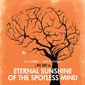 Poster 15 Eternal Sunshine of the Spotless Mind