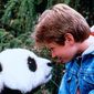 The Amazing Panda Adventure/Incredibilele aventuri ale ursuletului Panda