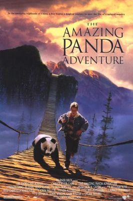 The Amazing Panda Adventure poster