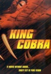 Poster King Cobra