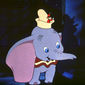 Foto 6 Dumbo