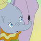 Dumbo/Dumbo