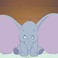 Foto 17 Dumbo