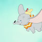Foto 8 Dumbo