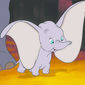 Foto 7 Dumbo
