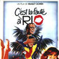 Poster 6 Blame It on Rio