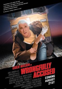 Wrongfully Accused online subtitrat