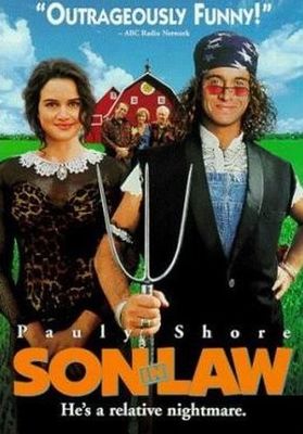Son in Law poster