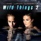 Poster 3 Wild Things 2