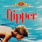 Poster 4 Flipper