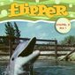 Poster 2 Flipper
