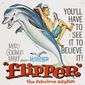 Poster 1 Flipper