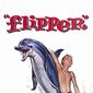 Poster 3 Flipper