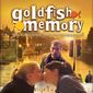 Poster 1 Goldfish Memory