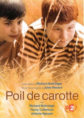 Poil de carotte poster