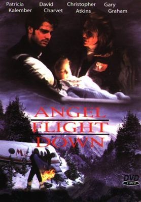 Angel Flight Down poster