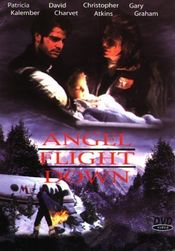 Poster Angel Flight Down