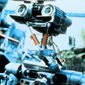 Foto 15 Short Circuit