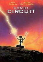 Scurt circuit