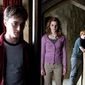 Foto 42 Daniel Radcliffe, Rupert Grint, Emma Watson în Harry Potter and the Half-Blood Prince