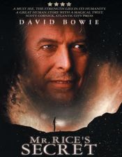 Poster Mr. Rice's Secret