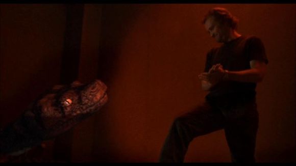 Boa vs. Python
