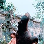 Imagine din galeria filmului The Second Jungle Book: Mowgli & Baloo