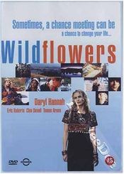 Poster Wildflowers