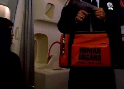 8 Heads in a Duffel Bag