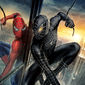 Poster 27 Spider-Man 3