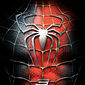 Poster 28 Spider-Man 3