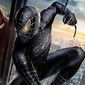 Poster 23 Spider-Man 3