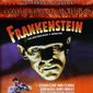 Poster 15 Frankenstein
