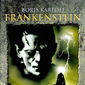 Poster 16 Frankenstein