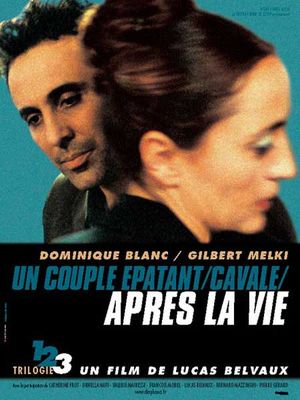 Apres la vie poster