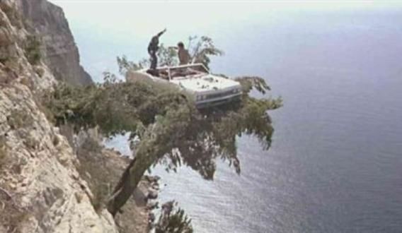 Sur un arbre perche