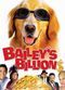 Film Bailey's Billion$