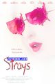 Film - American Strays
