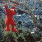 Foto 13 The Adventures of Elmo in Grouchland