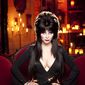 Elvira, Mistress of the Dark/Elvira, stăpâna întunericului