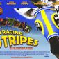 Poster 3 Racing Stripes